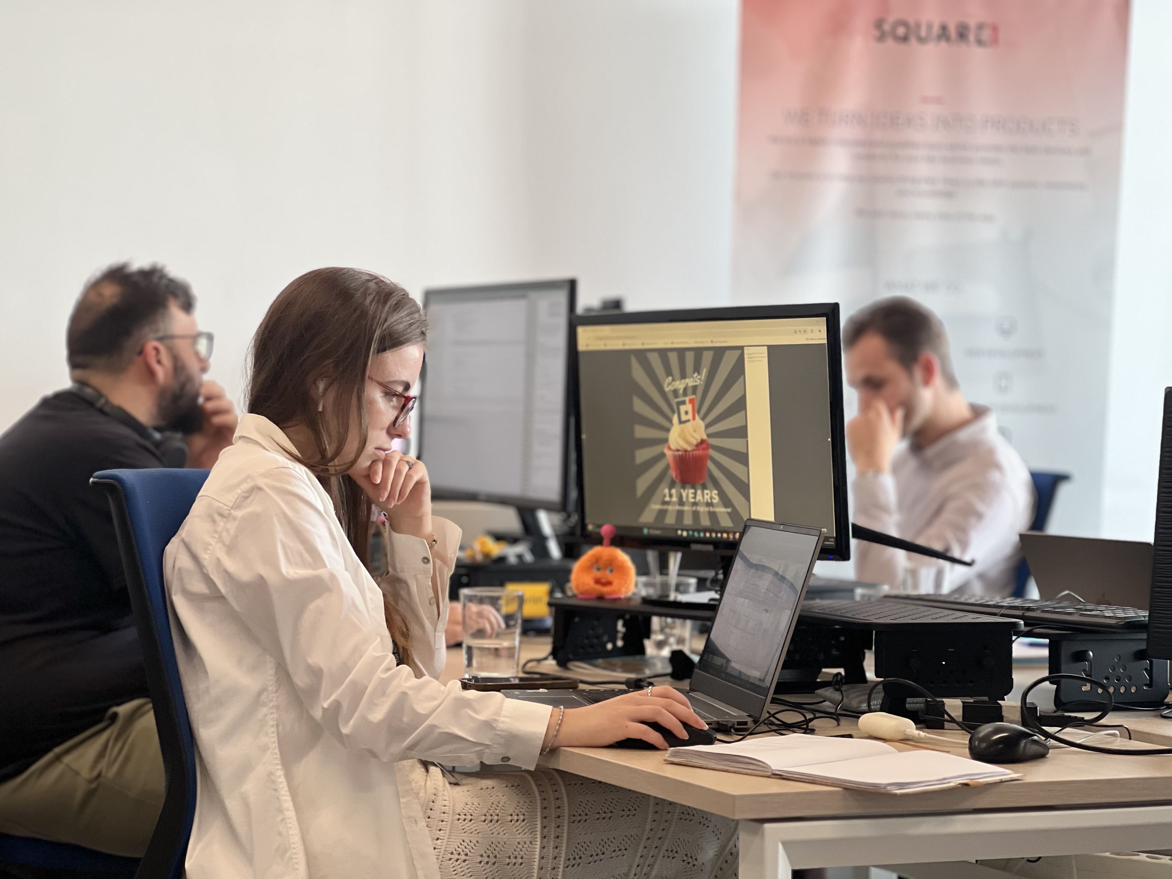 Companie Overview